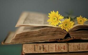 Yellow Flowers On The Old Book This Miraculous Photo Is Taken From