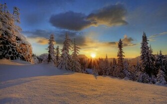 Wallpaper Winter Screensavers HD Background Desktop
