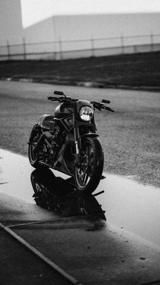 Harley Davidson Phone Wallpaper