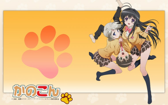Kanokon Nekomimi Wallpaper Hq