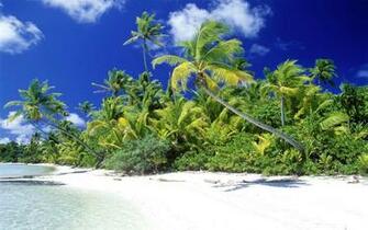 Wallpaper Desktop Scenic Palm