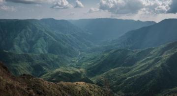 Green Leafed Trees Covered Mountain Photo Grey Image On
