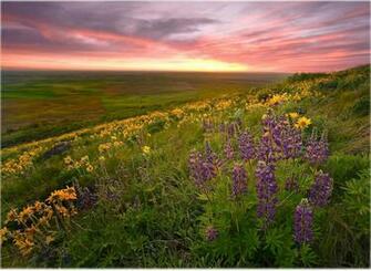 Natural Scenery Desktop Wallpaper Powerpoint E