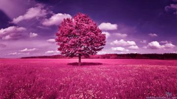 Women Track And Field Pink Tree With