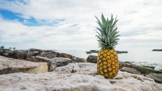 Pineapple Wallpaper
