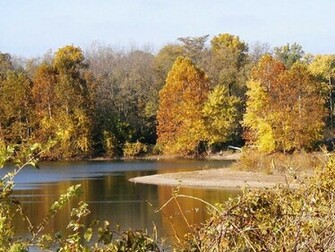 Autumn In Indiana