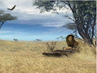 Savannah Safari Animated 3d Wallpaper This Is