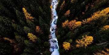 River Forest Flow Aerial Wallpaper HD Image Picture
