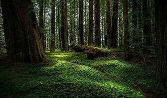 Northern California