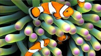 Sim Aquarium Android Apps On Google Play