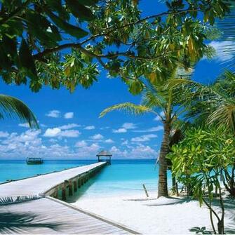 Beach iPad Wallpaper Background