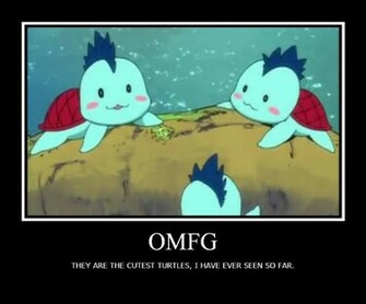 Cute Turtle Kawaii Picture