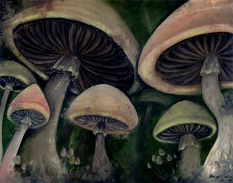 Shrooms Wallpaper