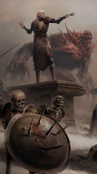 Diablo Necromancer 4k Wallpaper iPhone HD Phone 4941h