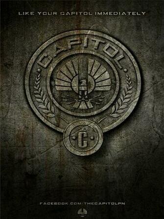 The Hunger Games iPad Wallpaper