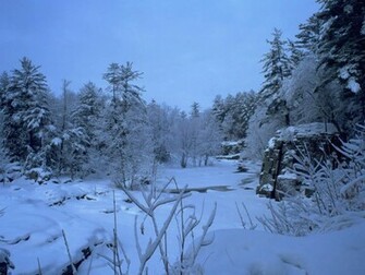 Winter Scene Christmas Wallpaper