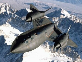 Blackbird Wallpaper Sr