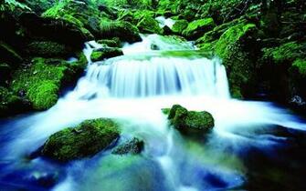To Wallpaper Just Right Click On Pictures And Select Save