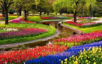 Flowers Garden Desktop Wallpaper New HD