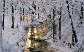 Stock Photos Of Creek And Snowy Trees Nature Image