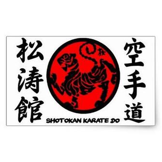 Shotokan Karate Do iPad Wallpaper Background All Picture