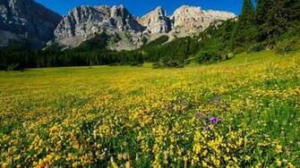 Mountain Meadow Wallpaper Hq Desktop