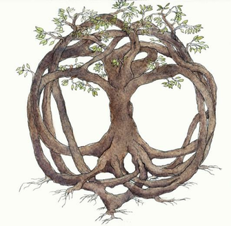 Celtic Tree Of Life Background Image Pictures Becuo