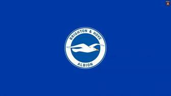 Brighton And Hove Albion Wallpaper Football