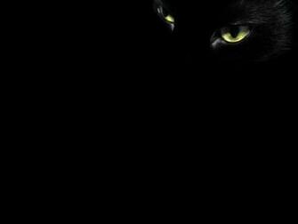 Black Cat Eyes Wallpaper
