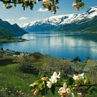 Norwegian Village Jpg