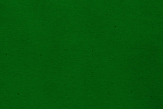 Bright And Rich Plain Dark Green Wallpaper