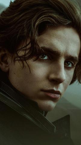 Dune Movie Timothee Chalamet Wallpaper 4k Pc Desktop 1230c