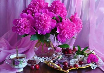 Wallpaper Image Love Nature Cool Bestwallpaper028