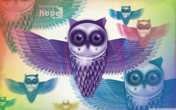 Cute Colorful Owl Wallpaper On