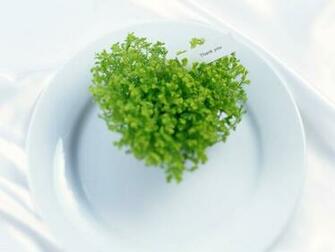 Live Background For Powerpoint HD Wallpaper Background