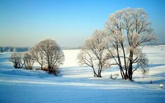 Widescreen Winter Snow Scenes Dreamy Wallpaper