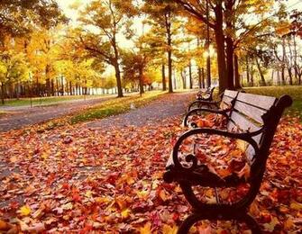 Fall Wallpaper For Desktop Jpg