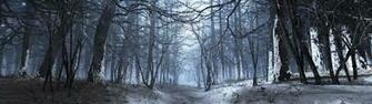 Winter HD Wallpaper Background Image Id