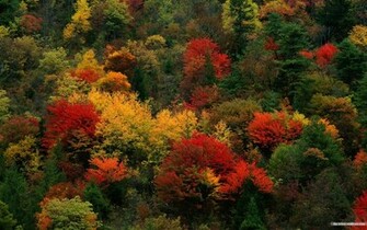 Autumn Wallpaper Fall 2520