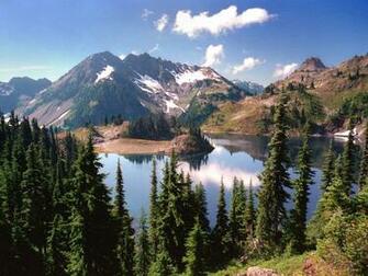 The Top Of Mountains Is Where Most Plants And Animals Live