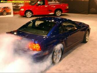 Svt Cobra Burnout Wallpaper