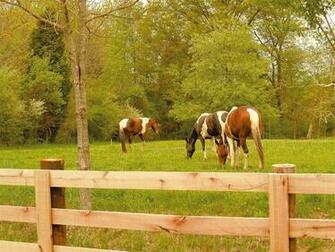 Horse Ranch Wallpaper