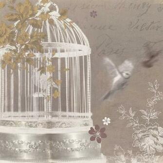 Bird Cage Art Silver Birdcage S