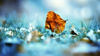 Unique Wallpaper And Beautiful HD
