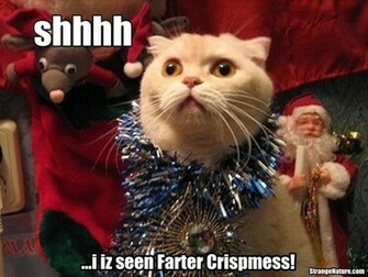 Funny Wallpaper HD Christmas Animals