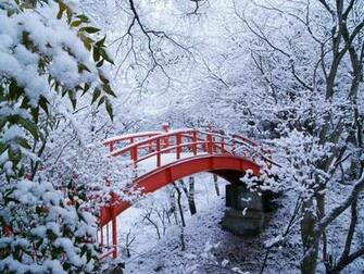 Natures Wallpaper Winter Nature Image With HD Desktop