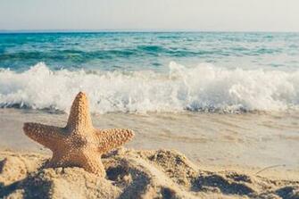 Starfish Ocean Background Eillu Corporate