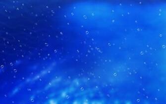 Underwater Wallpaper Desktop