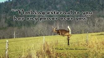 Funny Hunting Sayings Deer Fall Wallpaper