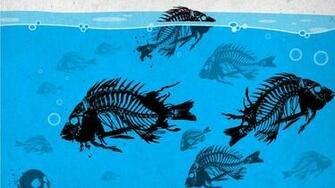 Fishing For Catfish HD Wallpaper Widescreen